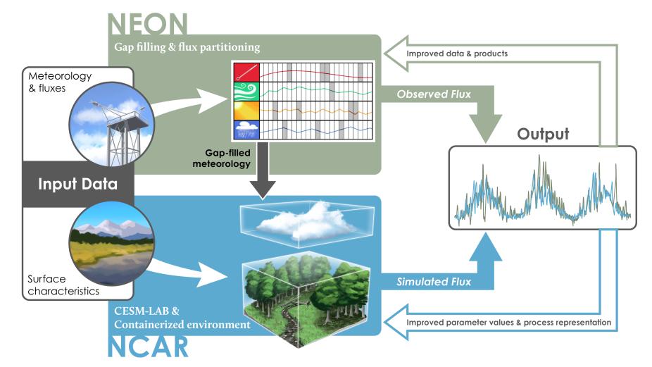 conceptual diagram illustrating the integration of NEON data and NCAR modeling enabled through the NCAR-NEON system